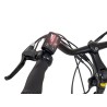 Display LED 36V EcoBike 6km/h
