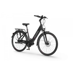 EcoBike LX 21"