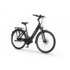 EcoBike LX 21"