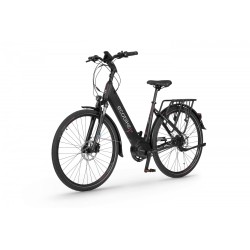 EcoBike LX 21"
