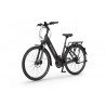 EcoBike LX 21"