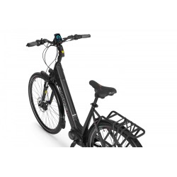 EcoBike LX 21"