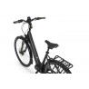 EcoBike LX 21"