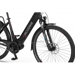EcoBike LX 21"