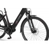 EcoBike LX 21"