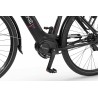 EcoBike LX 21"