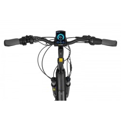 EcoBike LX 21"