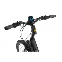 EcoBike LX 21"