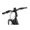 EcoBike LX 21"