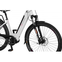 EcoBike LX 300 White