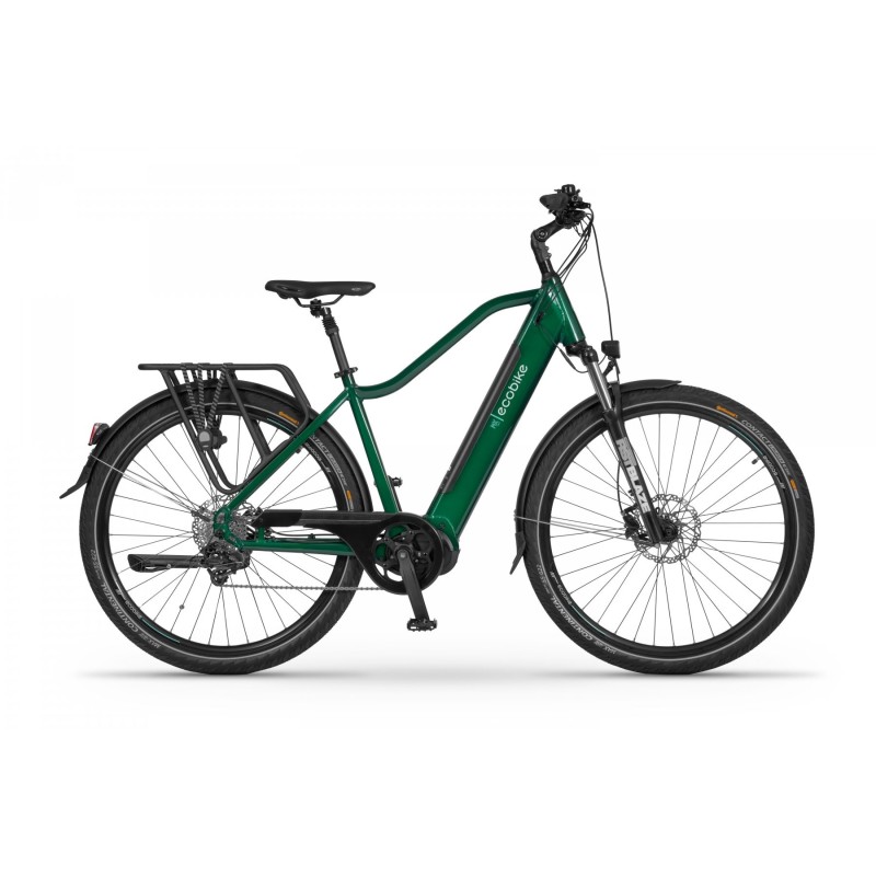 EcoBike MX 300 Green