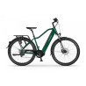 EcoBike MX 300 Green