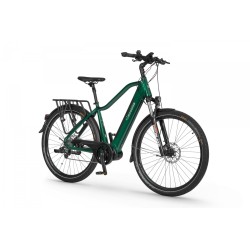 EcoBike MX 300 Green