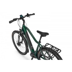 EcoBike MX 300 Green