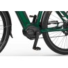 EcoBike MX 300 Green