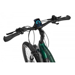 EcoBike MX 300 Green