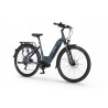 EcoBike D1 Trekking