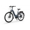 EcoBike D1 Trekking