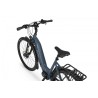 EcoBike D1 Trekking