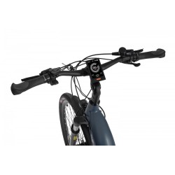 EcoBike D1 Trekking