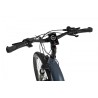 EcoBike D1 Trekking