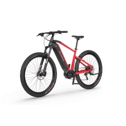 EcoBike RX 500 19"