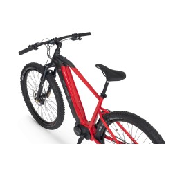 EcoBike RX 500 19"